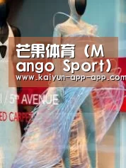 店面展示三