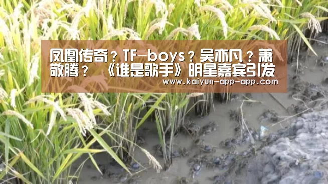 芒果体育平台