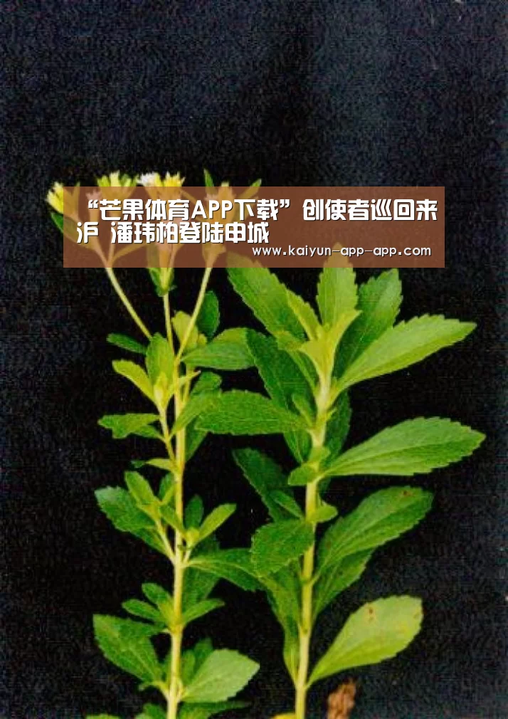 芒果体育官网