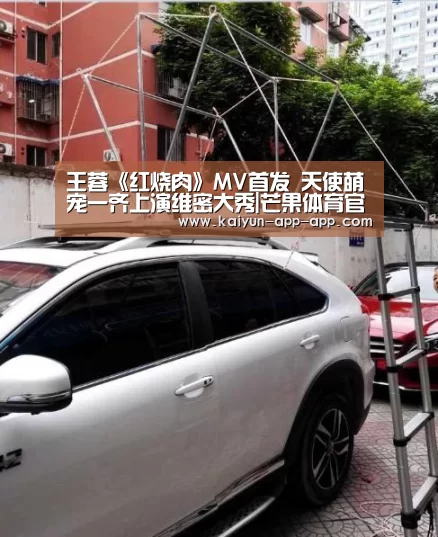 芒果体育官网