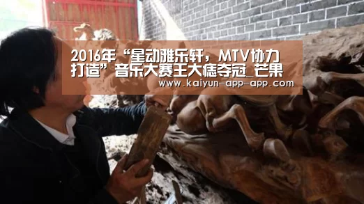 2016年“星动雅乐轩，MTV协力打造”音乐大赛王大痣夺冠_芒果体育官网